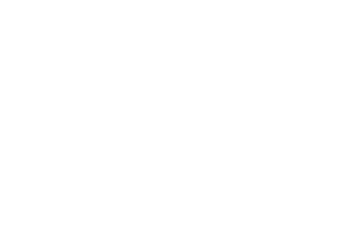 Brick Dynamics Logo Image
