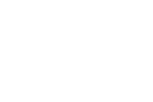 Dashy Dash Logo Image