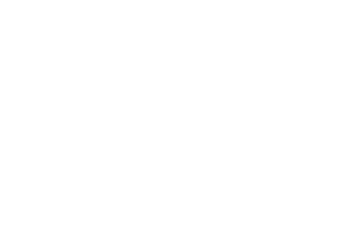 Everyset Logo Image