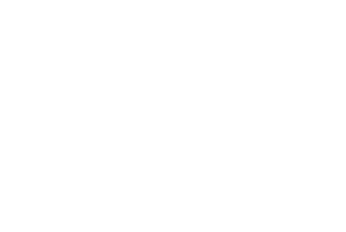 Sock Logo Image