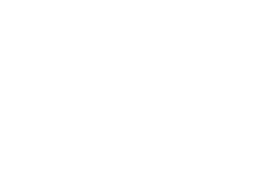 Trybo Logo Image