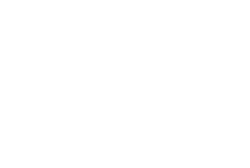 Weildy Logo Image